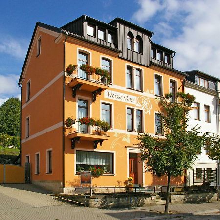 Pension Weisse Rose, Parkplatz, Fruehstueck, Wlan, Zentral Bad Elster Εξωτερικό φωτογραφία