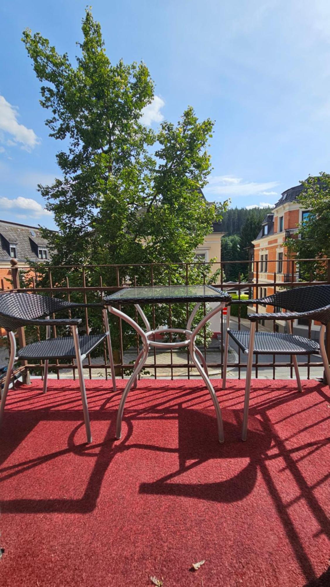 Pension Weisse Rose, Parkplatz, Fruehstueck, Wlan, Zentral Bad Elster Εξωτερικό φωτογραφία