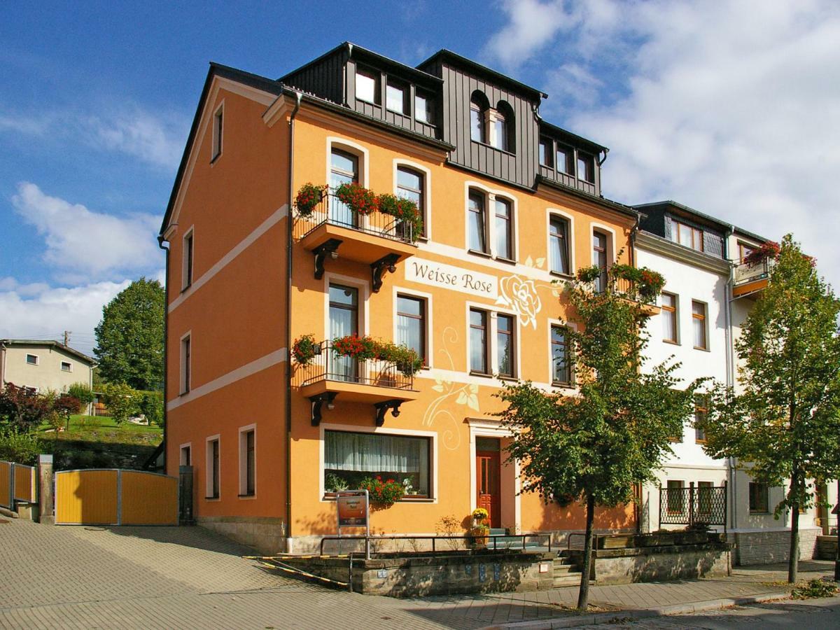 Pension Weisse Rose, Parkplatz, Fruehstueck, Wlan, Zentral Bad Elster Εξωτερικό φωτογραφία